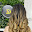DIVYAS ELEGANCE Hair & Beauty Salon (Salmiya, Kuwait ) صالون