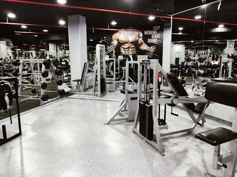Fe Gym