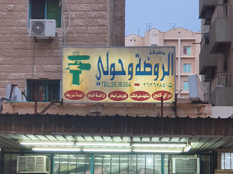 مصبغة مستر كلين