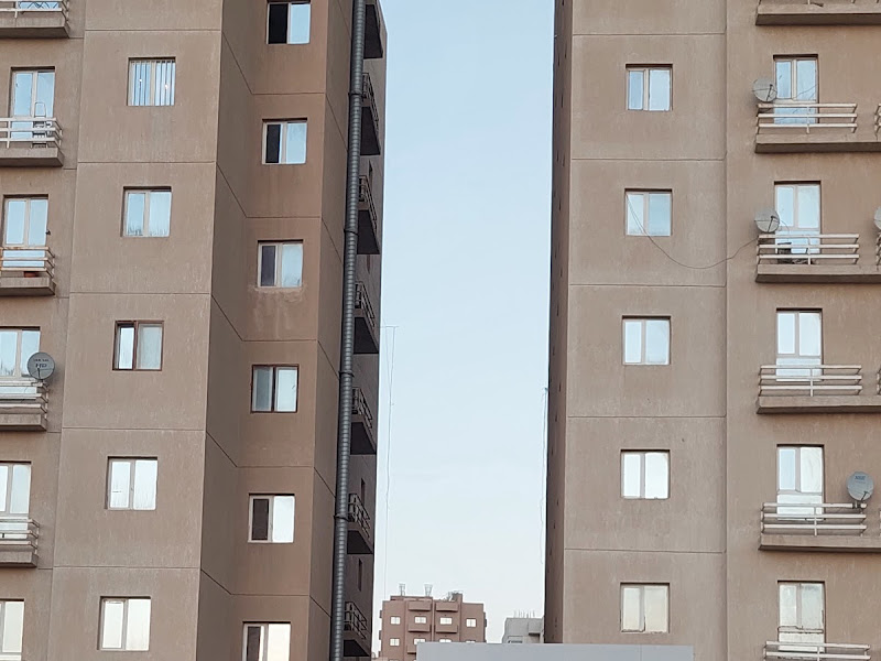 ڤيلڤتي فلاورز