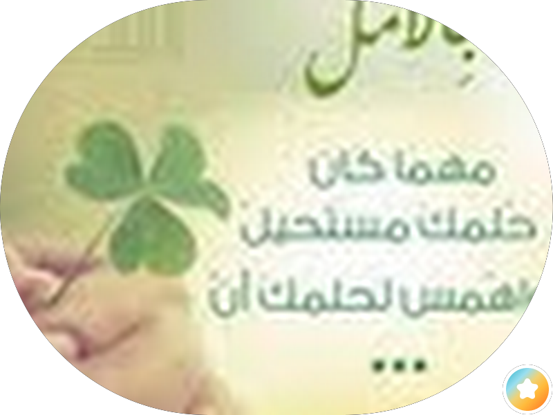 اكس سايت