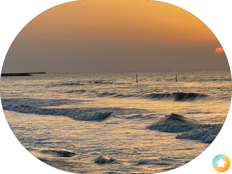 مطعم ميدان الشام