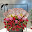 Horizon Flowers & More