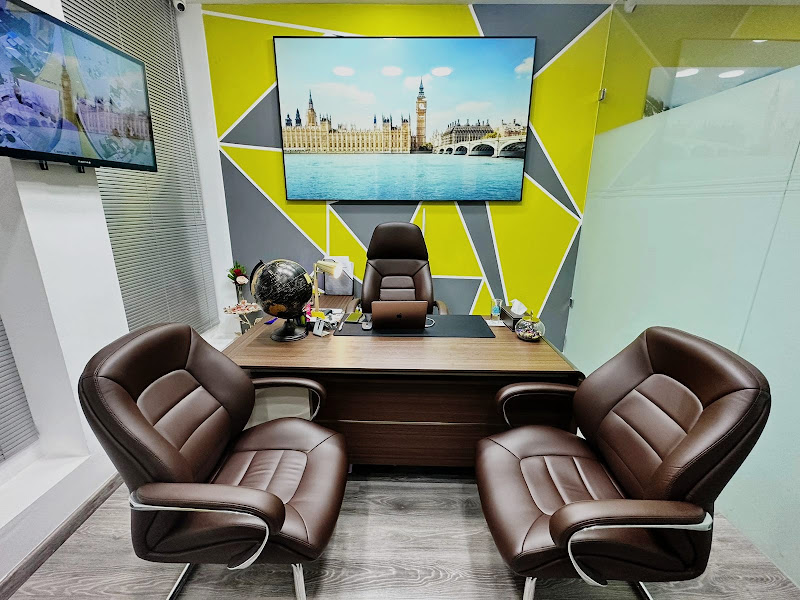 Going Global Management Consulting