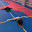 Family Academy gymnastics