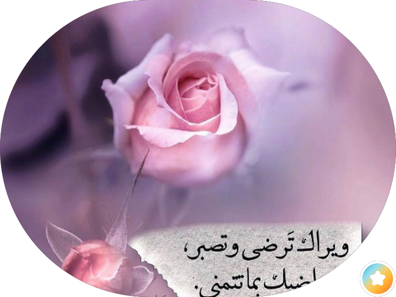 سوق الكويت والهند