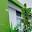 Hamlaya Hotel Apartment